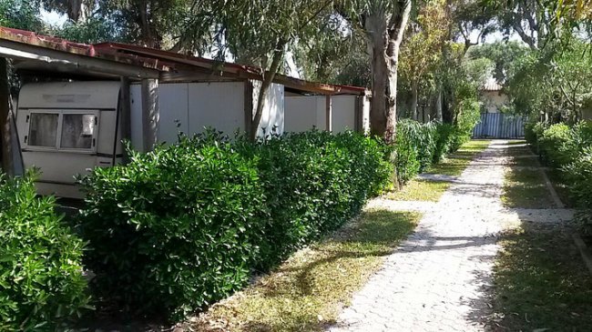 Stradina con siepi verdi e roulotte sotto alberi lungo il sentiero.