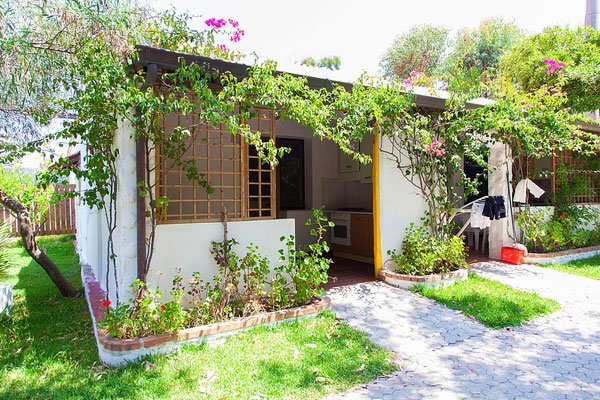 Un piccolo bungalow bianco coperto da piante rampicanti con un giardino verde intorno.