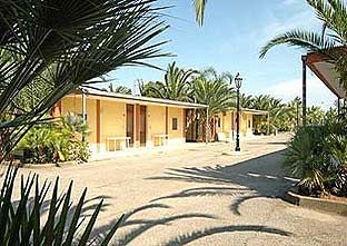 Bungalow gialli circondati da palme e vegetazione tropicale.