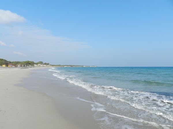 Spiaggia sabbiosa con onde leggere e cielo sereno.