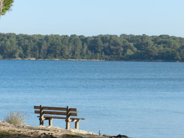 Panchina di legno con vista su un lago circondato da alberi.