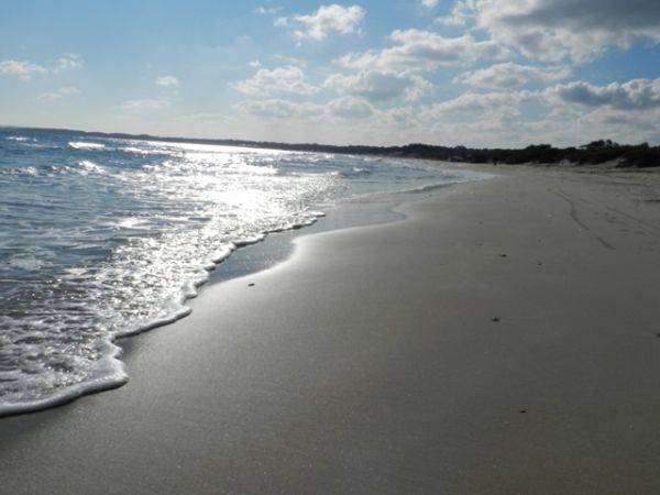 Una spiaggia deserta con il mare calmo e il sole che riflette sull'acqua.