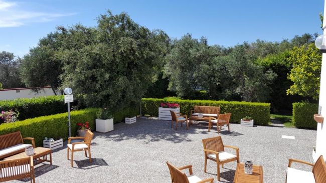 Giardino con sedie di legno, siepi verdi.