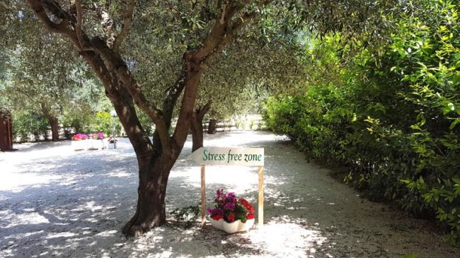 Area ombreggiata con albero e cartello 