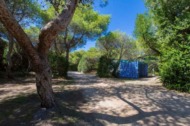 Sentiero in un bosco con tenda a righe.