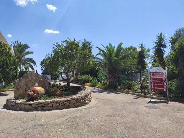 Giardino con palma e indicazioni stradali, cielo sereno.