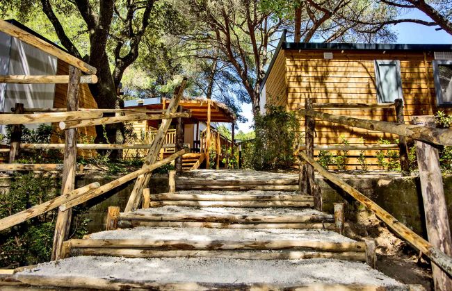 Scala in legno tra alberi con casette di legno ai lati.
