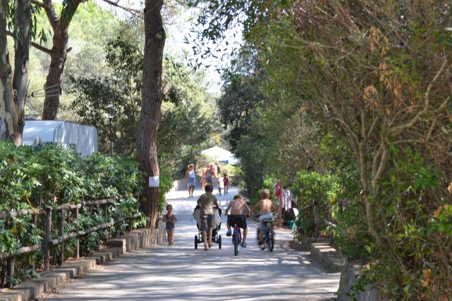 Persone camminano e vanno in bici lungo una strada alberata.