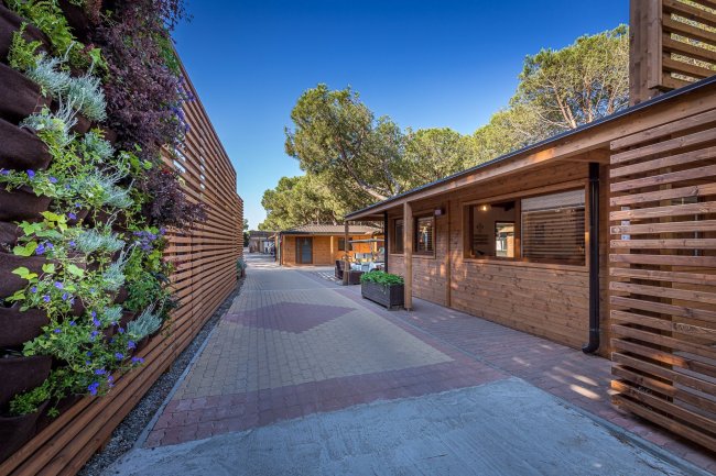 Viale tra edifici di legno, con piante verticali.