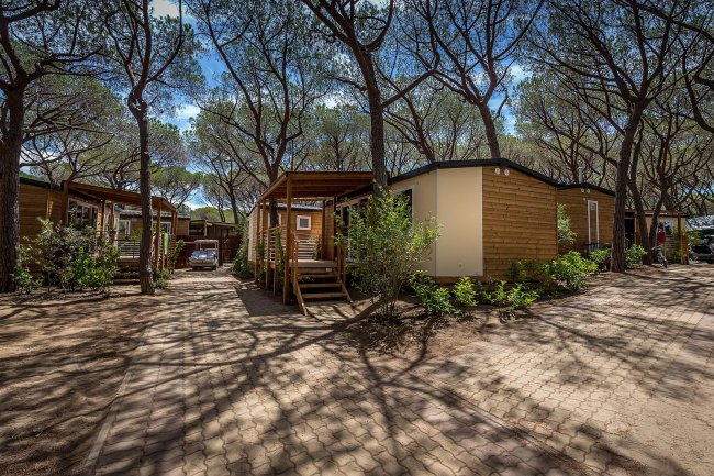 Percorso pedonale tra bungalow in legno immersi in un'area alberata.