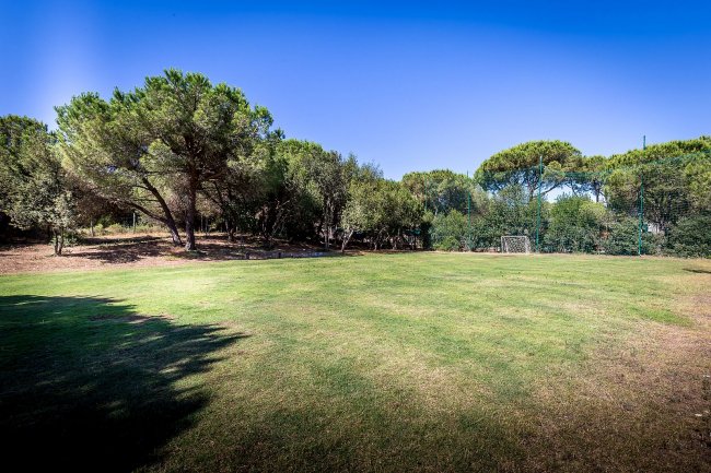 Un campo di calcio erboso circondato da alberi e una porta sullo sfondo.