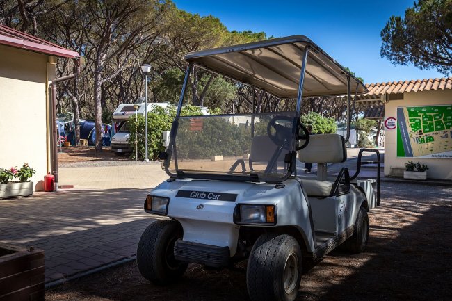 Un golf cart parcheggiato tra alberi e strutture.