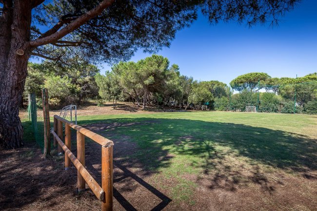 Un campo da calcio all'aperto con due porte, circondato da alberi e una staccionata di legno.