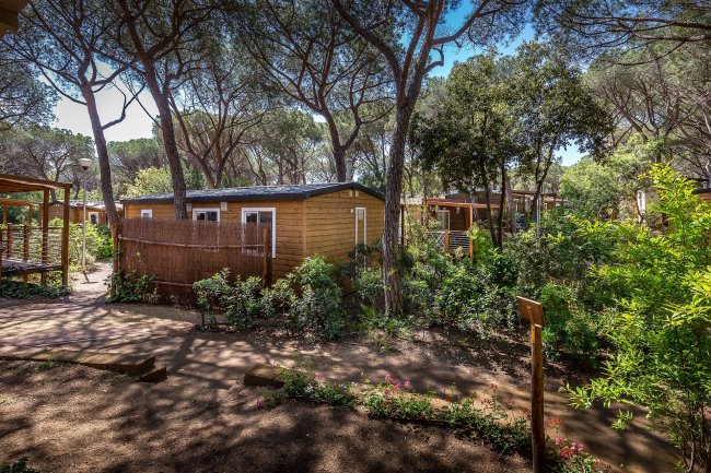 Bungalow in legno tra alberi, con sentieri e vegetazione circostante.