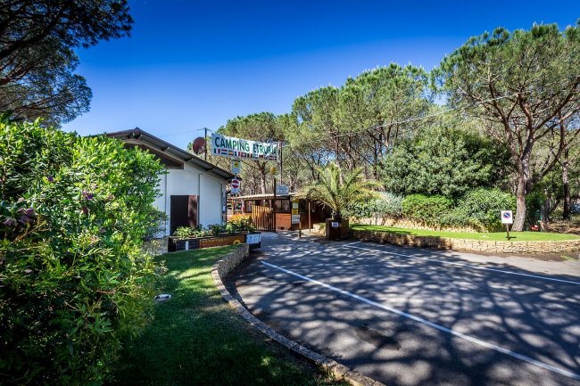 Ingresso di un camping circondato da alberi e vegetazione verde.