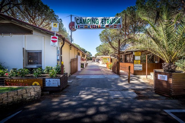 Entrata di Camping Etruria con vialetto e vegetazione ai lati.
