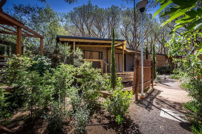 Un bungalow in stile rustico circondato da vegetazione lussureggiante e alberi.