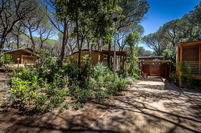 Sentiero lastricato tra bungalow immersi nella natura con alberi alti.