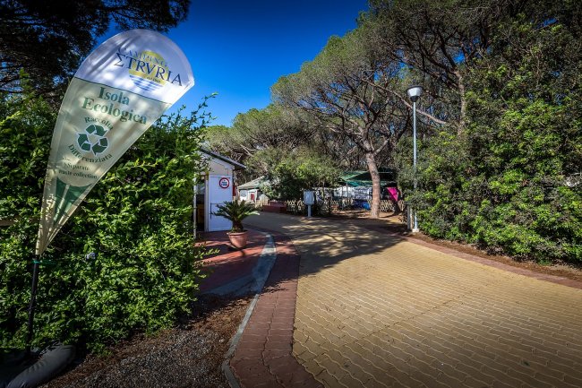 Viale alberato con cartello 