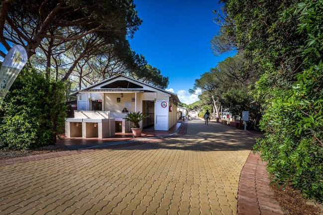 Un vialetto alberato con un edificio bianco a sinistra sotto un cielo blu.