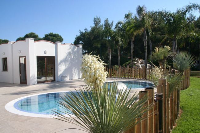 Piscina circondata da palme e prato, con una villetta bianca accanto.