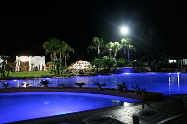 Piscina illuminata di notte, circondata da palme e un giardino.