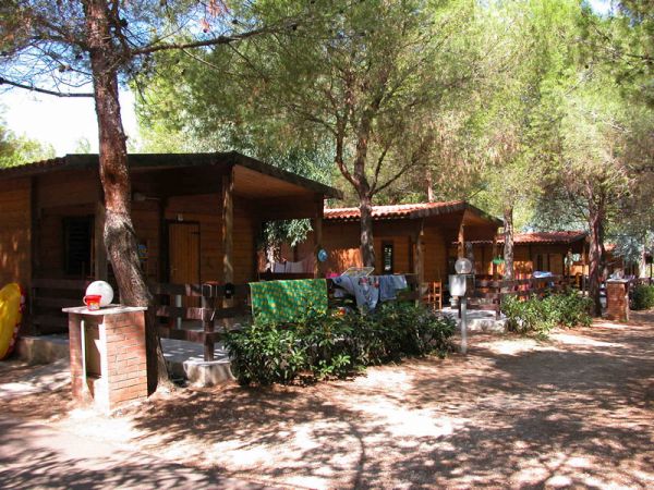 Bungalow in legno tra alberi, con ombra e vegetazione. Tavole e sedie visibili.