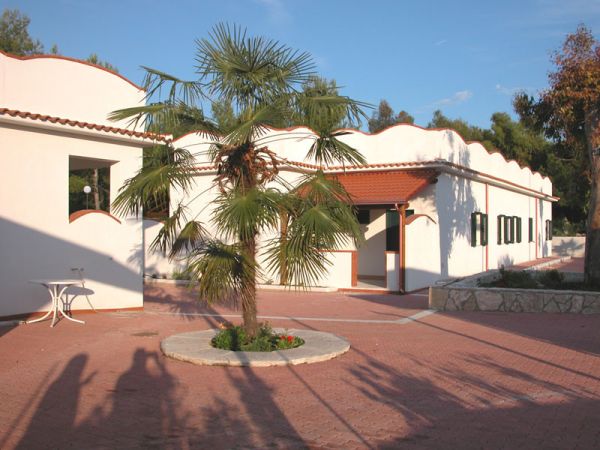 Struttura bianca con tetto rosso, cortile con palma al centro su pavimentazione in mattoni.