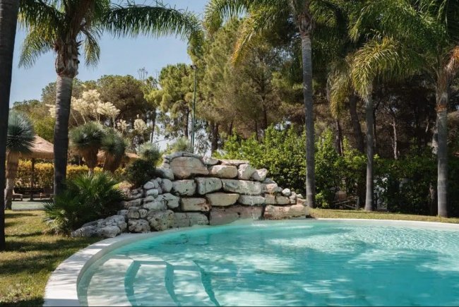 Piscina con gradini e mura di pietra, circondata da palme e vegetazione lussureggiante.