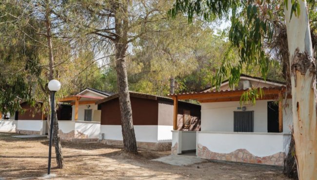 Bungalow tra gli alberi con pareti bianche e tetto marrone.