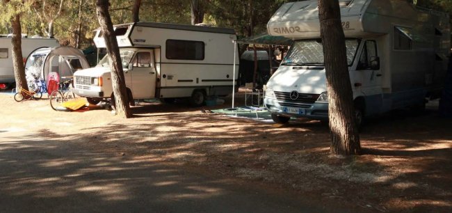 Camper parcheggiati sotto gli alberi in un'area campeggio.
