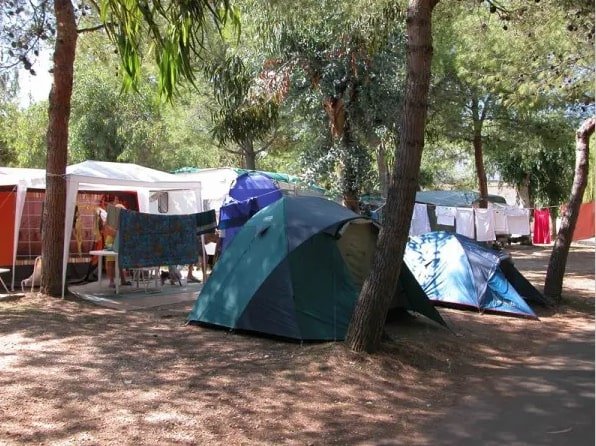 Un campeggio con tende blu e verdi tra gli alberi. Panni stesi al sole.