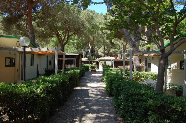 Camping Feniglia (GR) Toscana