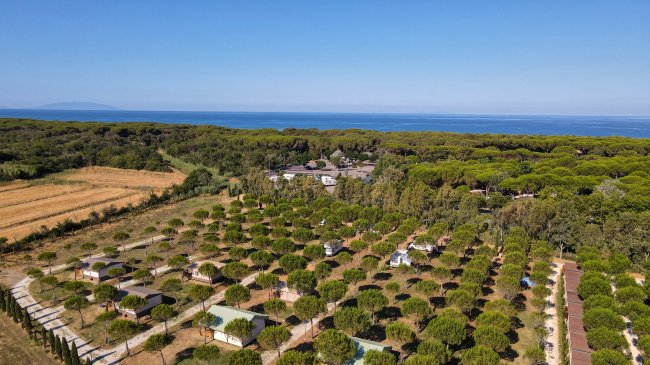 Vista dall'alto di bungalow tra alberi e mare in lontananza.