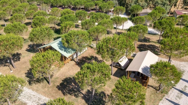 Bungalow con tetti in tessuto tra alberi verdi.