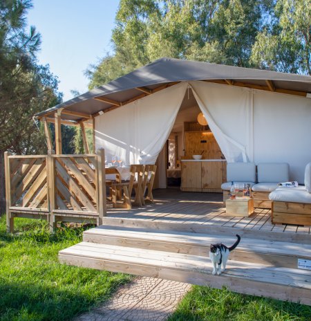 Tenda glamping con veranda e gatto.