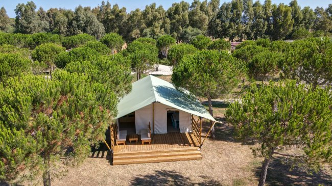 Tenda glamping tra alberi su una piattaforma di legno.