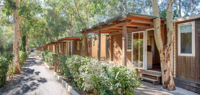 Bungalow in legno lungo un viale alberato.