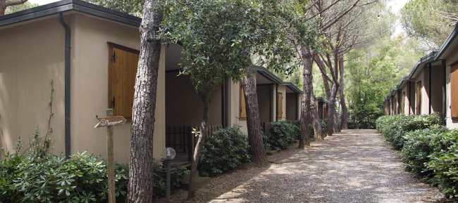 File di bungalow immersi nel verde.