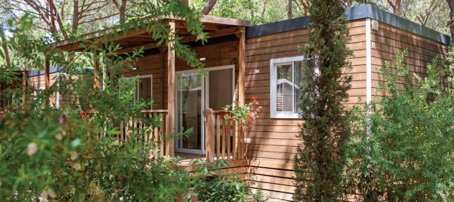 Bungalow in legno con vegetazione circostante.
