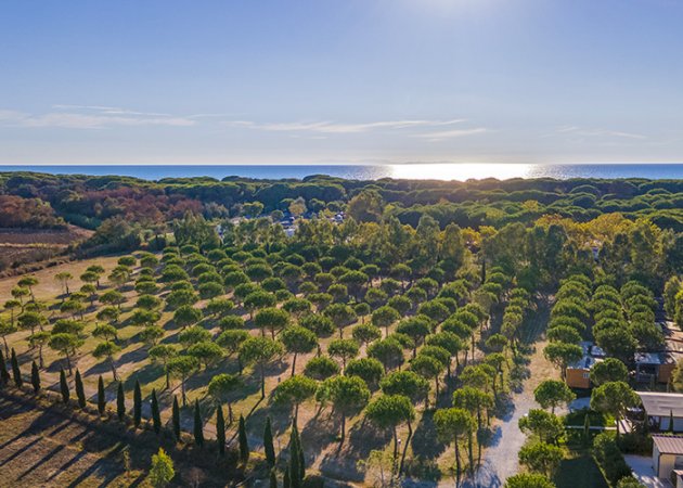 Camping Village Il Gineprino (LI) Toscana