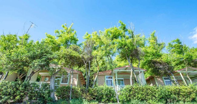 Bungalow tra alberi verdi e cielo azzurro.