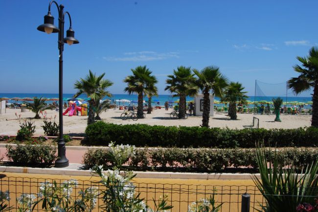 Spiaggia con palme, ombrelloni e vista sul mare in una giornata soleggiata.