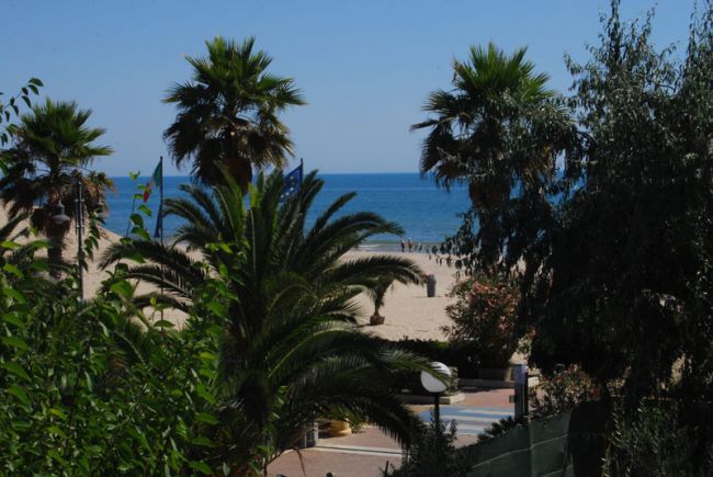 Palme e vista sul mare oltre la spiaggia.