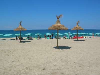 Spiaggia con capanne di paglia e ombrelloni verdi, persone rilassate in riva al mare.