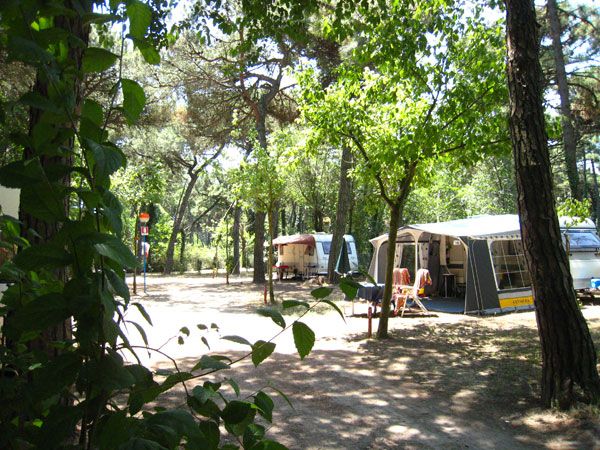 Piomboni Camping Village (RA) Emilia Romagna