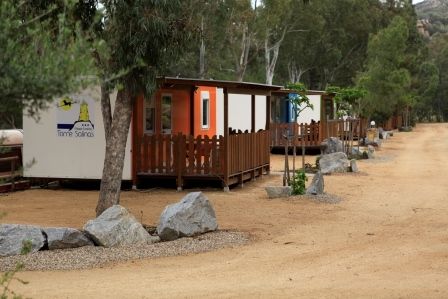 Bungalow colorati con recinti di legno su una strada alberata.
