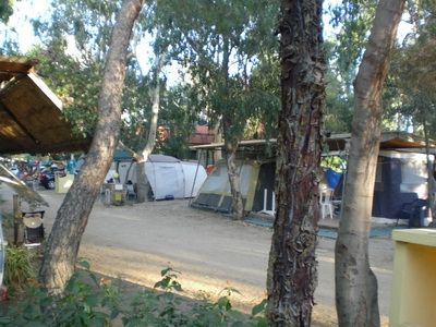 Tende da campeggio immerse tra alberi su terreno sterrato, con una leggera ombra.