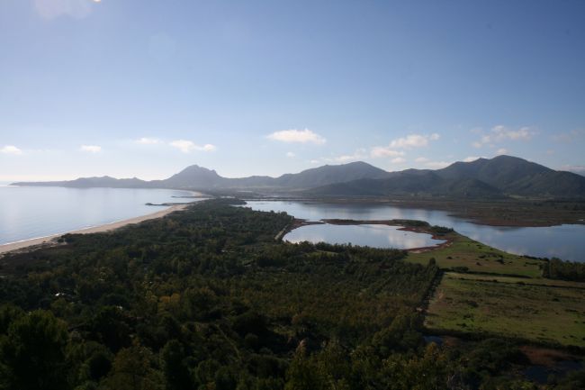 Una costa vista dall'alto, con mare, montagne e piante lungo la riva.