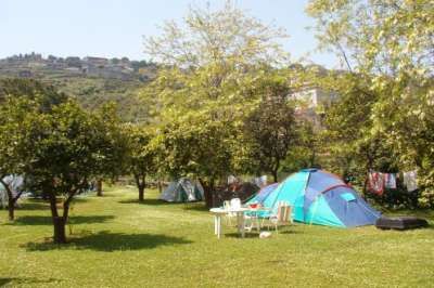 Tenda da campeggio in un prato verde circondato da alberi e colline.
